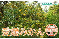 【家庭用】くらもとファームのえひめみかん おまかせmix 5kg 発送期間:12月1日～1月31日