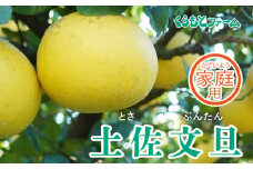 【家庭用】くらもとファームの土佐文旦 5kg 小~中玉 発送期間:1月上旬～1月下旬