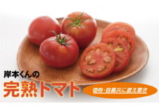 岸本くんの完熟トマト 大玉 4kg 発送期間：12月10日～2月28日	