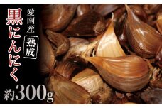 石川ファームの愛南町産熟成黒にんにく 300g 発送期間：2025年6月20日～12月30日