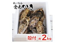 愛南 かき 殻付 2kg 牡蠣 つまみ 愛媛県 1万円 発送期間：12月10日～3月末