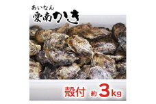 愛南 かき 殻付 3kg 牡蠣 つまみ 愛媛県 発送期間：12月10日～3月末