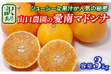 【訳あり】 愛南マドンナ 3kg まどんな 紅まどんな 愛果28号 みかん 蜜柑 甘平 せとか 高級 人気 ブランド 柑橘 果物 フルーツ ビタミン 美容 健康 国産 愛媛 愛南町 山口農園 発送期間: 2023年12月初旬～