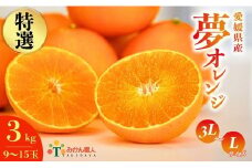 【特選品】みかん職人の夢オレンジ 3kg まどんな 愛果28号 柑橘 果物 くだもの フルーツ 糖度 とうど センサー 計測 規準 甘い 甘さ みかん かんきつ らんきんぐ 柑橘 冬 旬 食べごろ 農家 農家直送 農園 人気 贈答 贈答用 特選 よりすぐり 選別 手作業 職人 減農薬 農家直送 みかん職人 武田屋 産直 みかん職人武田屋 愛媛県 愛南町