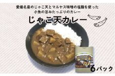 じゃこ天カレー 6パック (1パック 200g) マルヤス味噌 愛媛県 愛南町