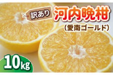 先行予約 訳あり 河内晩柑 10kg ひなたのみかん みかん 蜜柑 オレンジ 温州みかん グレープフルーツ 愛南ゴールド 文旦 ポンカン デコポン 不知火 愛媛みかん レモン ブラッドオレンジ ネーブル 果物 くだもの 果実 柑橘 かんきつ mikan フルーツ 果汁 ゼリー ジュース 甘い ジューシー ビタミン 美容 健康 特産品 国産 産直 愛媛県 愛南町