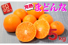 先行予約 訳あり 完熟まどんな 5kg みかん 蜜柑 まどんな 人気 ブランド 高級 紅まどんな 柑橘 果物 フルーツ 中山農園 愛媛県 愛南町 発送期間:2024年12月1日～12月25日