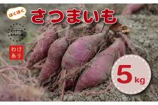 訳あり 愛南育ちのさつまいも 5kg 発送期間: 12月上旬～なくなり次第終了