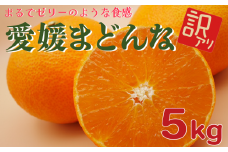 訳あり愛媛まどんな 5kg 吉田農園  家庭用 サイズミックス みかん 蜜柑 柑橘 まどんな 紅まどんな 果物 フルーツ 人気 高級 ブランド 愛媛 愛南 発送期間: 2023年12月12日～2024年1月25日