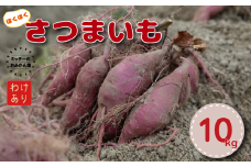 訳あり 愛南育ちのさつまいも 10kg 発送期間: 12月上旬～なくなり次第終了