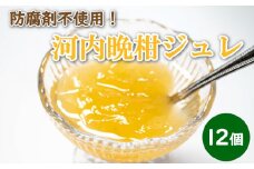 河内晩柑 ジュレ 12個 着色料不使用 あいなんマザーズ 柑橘 かわちばんかん 愛南ゴールド 和製 グレープフルーツ 10000円 愛媛県 愛南町
