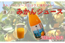 須ノ川 みかんジュース ストレート 720ml × 12本 柑橘 果物 愛媛県 愛南町 発送時期:12月6日～なくなり次第終了