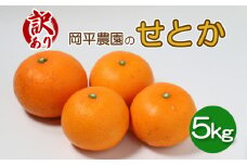 数量限定 訳あり せとか 5kg 岡平農園 フルーツ 果物 柑橘 蜜柑 愛媛県 愛南町 発送期間: 2月下旬～3月下旬