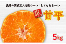 先行予約 訳あり 甘平5kg みかん 蜜柑 甘平 ポンカン 高級 人気 ブランド 柑橘 果物 フルーツ 中山農園 愛媛県 愛南町 発送期間: 2025年2月1日～3月上旬(なくなり次第終了)