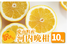 【 先行予約 】 訳あり 河内晩柑 10kg 送料無料 わけあり ワケアリ 不揃い 愛媛 愛南町産 愛南ゴールド 和製 グレープフルーツ みかん 蜜柑 柑橘 柑橘類 フルーツ 果物 くだもの 食品 食べ物 お取り寄せ グルメ 家庭用 ジューシーフルーツ 美生柑 生食 ジュース ゼリー ジャム スムージー ビタミンC 旬 愛媛県 愛南町 山口農園