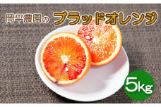 数量限定 訳あり ブラッドオレンジ（タロッコ）5kg 岡平農園 発送:2023年4月～