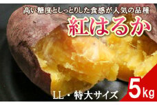 数量限定 訳あり 紅はるか 5kg LLサイズ 特大 さつまいも 低温熟成 完全熟成収穫 訳あり 傷 不揃い 高糖度 料理 焼き芋 やきいも 天ぷら スイートポテト デザート おかず スイーツ 国産 愛媛県 愛南町 発送期間: 2月1日～なくなり次第終了