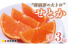 【2026年3月上旬頃発送】【先行予約】訳あり せとか 3kg みかん 家庭用 サイズミックス 14000円 高級 人気 ブランド プレミアム 柑橘 果物 フルーツ 数量限定 期間限定 産地直送 国産 農家直送 わけあり 特産品 お取り寄せ mikan 蜜柑 ミカン オレンジ スマイルカット ビタミン 甘い おいしい 大トロ 不揃い 吉田農園 愛南町 愛媛県