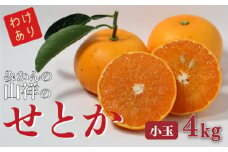 訳あり みかんの山祥の 小玉 せとか 4kg 柑橘類 フルーツ 高級 みかん 愛媛県 愛南町 発送期間: 3月中旬～4月上旬(なくなり次第終了)