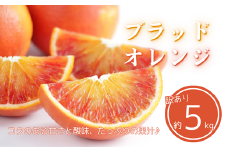 訳あり ブラッドオレンジ タロッコ 約5kg 柑橘 フルーツ 果物 みかん 家庭用 傷 不揃い 農園 直送 エニシトラス 愛媛県 愛南町 発送期間: 4月上旬～（なくなり次第終了）