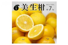 訳あり 小玉 美生柑 約7kg 河内晩柑 ばんかん 愛媛 みかん 小粒  柑橘 フルーツ 果物 くだもの 果実 夏 文旦 晩生柑  蜜柑 mikan わけあり 傷 規格外 愛南 ご当地 ブランド 国産 産地 直送 ゼリー マーマレード デザート フルーツアイランド マルエム直販 愛媛県 愛南町 発送期間: 2025年3月1日～6月10日(なくなり次第終了)　