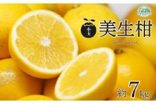 訳あり 小玉 美生柑 約7kg 河内晩柑 ばんかん 愛媛 みかん 小粒  柑橘 フルーツ 果物 くだもの 果実 夏 文旦 晩生柑  蜜柑 mikan わけあり 傷 規格外 愛南 ご当地 ブランド 国産 産地 直送 ゼリー マーマレード デザート フルーツアイランド マルエム直販 愛媛県 愛南町 