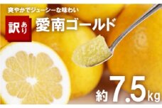 訳あり 河内晩柑 7.5kg サイズミックス 7000円 みかん かわちばんかん ミカン mikan わけあり 愛南ゴールド 家庭用 あいなん ゴールド 美生柑 文旦 派生 和製 グレープフルーツ 産地直送 国産 農家直送 期間限定 数量限定 ビタミン 特産品 人気 限定 甘い おいしい 小玉 含む フルーツ 果物 柑橘 蜜柑 アイス ジュース 等に 規格外 大樹農園 愛南町 愛媛県