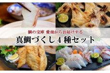 愛南 真鯛づくし 4種セット 冷凍 小分け パック 真鯛 マダイ しゃぶしゃぶ 鯛しゃぶ 刺身 さしみ お造り 唐揚げ からあげ カマ 塩焼き 鯛 タイ 切り身 鯛めし お食い初め ギフト プレゼント 贈り物 贈答 愛南サン・フィッシュ