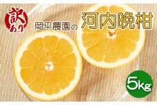 先行予約 訳あり 河内晩柑 (愛南ゴールド) 約5kg 柑橘 フルーツ みかん 河内晩柑  傷 きず 規格外 不揃い 果物 ゼリー ジュース アイス ビタミン 健康 美容 愛媛県 愛南町 岡平農園 発送期間：4月上旬～5月上旬 (なくなり次第終了)