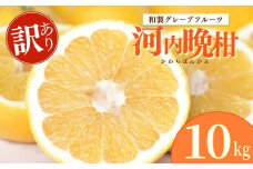 木成り 追熟 訳あり 河内晩柑 約10kg 柑橘 フルーツ 果物 蜜柑 みかん くだもの mikan 家庭用 傷 不揃い  サイズミックス かわち ばんかん かんきつ 和製 グレープフルーツ デザート 果実 果汁 甘い ジューシー おいしい 特産品 国産 農園 直送 産地 直送 エニシトラス 愛媛県 愛南町 
