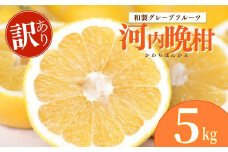 木成り 追熟 訳あり 河内晩柑 5kg 柑橘 フルーツ 果物 蜜柑 みかん くだもの mikan 家庭用 傷 不揃い  サイズミックス かわち ばんかん かんきつ 和製 グレープフルーツ デザート 果実 果汁 甘い ジューシー おいしい 特産品 国産 農園 直送 産地 直送 エニシトラス 愛媛県 愛南町 