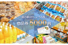 商品券 5000円分 道の駅 お買い物券 柑橘類 みかん 魚貝類 鰹 かつお 野菜 さつまいも 果物 くだもの フルーツ お菓子 スイーツ お土産 みしょうMIC 愛媛県 愛南町