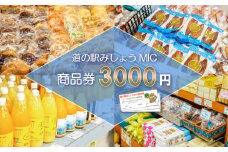 商品券 3000円分 道の駅 お買い物券 柑橘類 みかん 魚貝類 鰹 かつお 野菜 さつまいも 果物 くだもの フルーツ お菓子 スイーツ お土産 みしょうMIC 愛媛県 愛南町