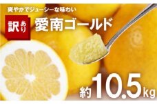 訳あり 河内晩柑 10.5kg サイズミックス 10000円 みかん かわちばんかん ミカン mikan わけあり 愛南ゴールド 家庭用 あいなん ゴールド 美生柑 文旦 派生 和製 グレープフルーツ 産地直送 国産 農家直送 期間限定 数量限定 ビタミン 特産品 人気 限定 甘い おいしい 小玉 含む フルーツ 果物 柑橘 蜜柑 アイス ジュース 等に 規格外 大樹農園 愛南町 愛媛県