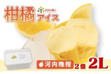 柑橘アイス 計2L(1個1L) 【 河内晩柑 】 少量 お試し 冷凍 みかん 旬 農家直送 特産品 さっぱり 大人 旨味 アイス ジェラート シャーベット ソルベ アイスクリーム ランキング 人気 業務量 業務用 訳あり ワケアリ 家庭用 みかん 柑橘 かんきつ まどんな 愛果28号 愛南ゴールド 不知火 デコポン ぽんかん 冷凍 冷凍みかん 冬 夏 みかん職人武田屋 愛媛県 愛南町