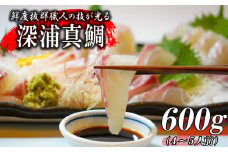 訳あり 真鯛 タイ お刺身 約600g 冷凍 不揃い 小分け 真空パック 新鮮 鮮魚 養殖 カマ  皮引き 柵 カマ アラ 鯛 たい タイ お食い初め 刺身 しゃぶしゃぶ 鯛しゃぶ 鍋 鯛めし 鯛茶漬け 出汁茶漬け 漬け カルパッチョ タタキ 炙り  塩焼き 煮込み 料理 600g 10000円 ハマスイ 愛媛県 愛南町