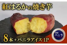 紅はるか 冷やし 焼き芋 8本 バニラアイス セット さつまいも 冷凍 解凍 小分け 個包装 ねっとり しっとり 人気 スイーツ デザート 国産 愛媛県 愛南町