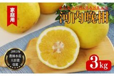 先行受付 河内晩柑 家庭用 3kg 発送 2025年 樹齢25年以上 柑橘 かんきつ 蜜柑 みかん 愛南ゴールド サイズミックス 規格外 キズ 傷 わけあり ふるさと納税 家庭用  らんきんぐ 期間限定 予約 愛媛県 愛南町 吉本農園