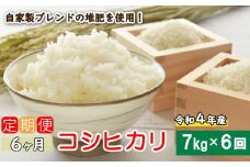 定期便 6回 令和5年産 コシヒカリ 7kg あいなんマザーズ 減農薬 お米 新米 コメ 精白米 ご飯 ごはん 愛媛県 愛南町 発送期間：2023年9月～