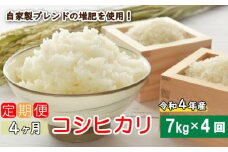 定期便 4回 令和5年産 コシヒカリ 7kg あいなんマザーズ 減農薬 お米 新米 コメ 精白米 ご飯 ごはん 愛媛県 愛南町発送期間：2023年9月～