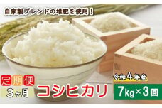 定期便 3回 令和5年産 コシヒカリ 7kg あいなんマザーズ 減農薬 お米 新米 コメ 精白米 ご飯 ごはん 愛媛県 愛南町 発送期間：2023年9月～