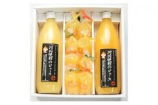 愛南産の河内晩柑ジュースとジュレのセット あいなんマザーズ 