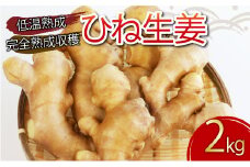 ひね生姜 2kg 榎本さん 完全熟成収穫 低温熟成 減農薬 ダイエット 料理 国産 愛媛県 愛南町 発送期間:1月4日～なくなり次第終了