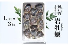 御荘湾 上甲商会の岩牡蠣（Ｌサイズ約３kg）発送期間: 5月中旬～8月下旬
