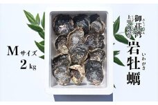 御荘湾 上甲商会の岩牡蠣（Ｍサイズ２kg以上）発送期間: 4月下旬～無くなり次第終了