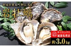 規格外 岩牡蠣 約3.0kg 滅菌処理済 不揃い サイズミックス 国産 養殖 かき 牡蠣 殻付き 焼き牡蠣 蒸し牡蠣 カキフライ  肉厚 海鮮 魚介 魚介類 BBQ バーベキュー 御荘湾 上甲商会 愛媛県 愛南町 発送期間: 2025年5月から順次に発送