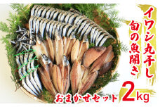 【訳あり】魚の丸干し＆開き おまかせセット2kg 魚 海鮮 干物 ひもの 丸干し 切り身 おつまみ おかず 新鮮 魚介 天然 乾き物 乾物 酒のあて ごはんのおかず 人気 珍味 グルメ 規格外 国産 旬 季節 武久海産 愛媛 愛南