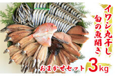 【訳あり】魚の丸干し＆開き おまかせセット3kg  魚 海鮮 干物  ひもの 丸干し 切り身 おつまみ おかず 人気 珍味 グルメ 規格外  国産 武久海産 新鮮 魚介 天然 乾き物 乾物 酒のあて ごはんのおかず 旬 季節 愛媛 愛南