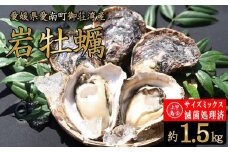 規格外 岩牡蠣 約1.5kg 滅菌処理済 不揃い サイズミックス 国産 養殖 かき 殻付き 焼き牡蠣 蒸し牡蠣 カキフライ  肉厚 海鮮 魚介 魚介類 BBQ バーベキュー 御荘湾 上甲商会 愛媛県 愛南町 発送期間: 4月下旬～8月中旬（なくなり次第終了）