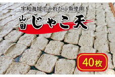 山田のじゃこ天 40枚 じゃこ天 すり身 さつま揚げ 郷土料理 おつまみ 肴 魚肉練り製品 揚げかまぼこ 愛媛県 南予 愛南町 特産品 お取り寄せ 送料無料 おいしい